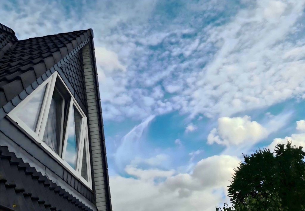 Customize Your Awning Window - Style 6